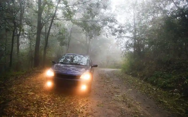 Driving in Fog